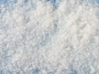 micro chip  ice
